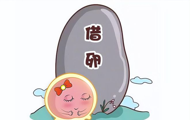 咨询